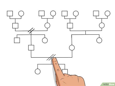 Een genogram maken: 14 stappen (met afbeeldingen)